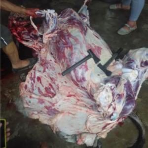 驢肉批發哪里好