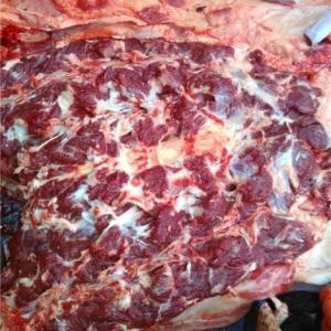 生鮮驢肉