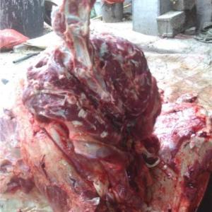 批發驢肉