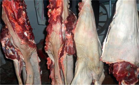 帶皮驢肉哪里正宗
