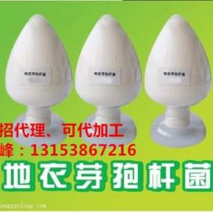 地衣枯草芽孢桿菌