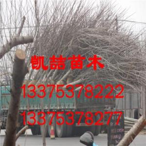裝車現(xiàn)場(chǎng)（10）
