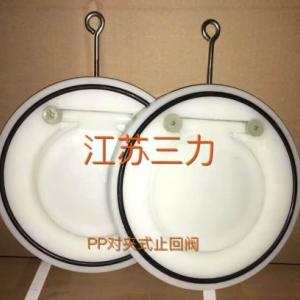 pp對夾式止回閥