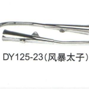 DY125-23(風(fēng)暴太子)