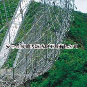 主動環形網標準規格