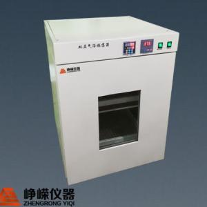 ZP-2F雙層電熱恒溫振蕩培養箱