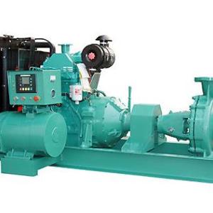 柴油機動力型驅動泵