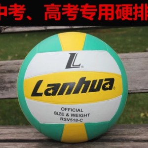 排球