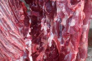 生鮮驢肉