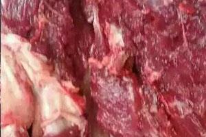 驢肉批發多少錢