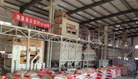 種子精選成套設(shè)備廠家