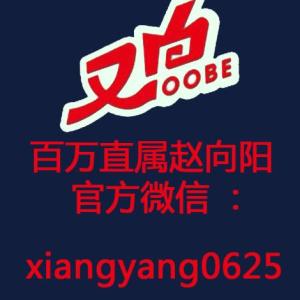 又白洗衣片百萬直屬趙向陽