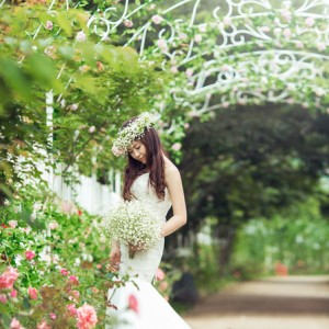 婚紗攝影批發(fā)
