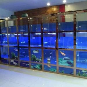 杭州酒店海鮮池定做