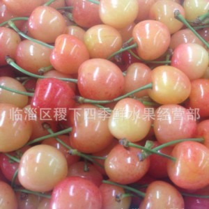 櫻桃