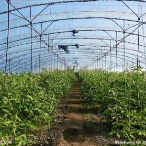 薄膜日光溫室工程的保溫設(shè)計