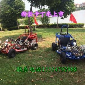 這個冬季不太冷新款滑雪游樂設備滑雪車滑草