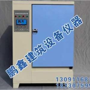 恒溫恒濕標(biāo)準(zhǔn)養(yǎng)護(hù)箱生產(chǎn)廠家