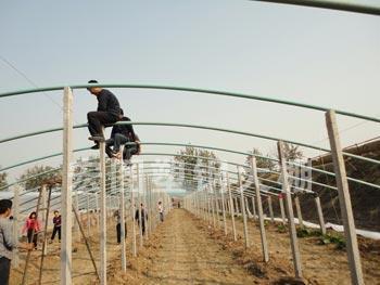 溫室工程/冬暖式大棚建設(shè)/大棚施工/壽光