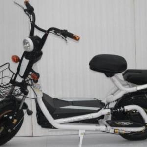 電動車廠家