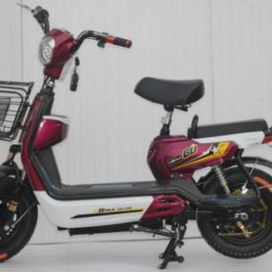 電動車