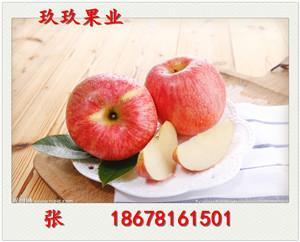 新疆阿克蘇蘋果