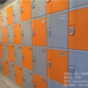 廣東寄存柜電控鎖廣東電子儲物柜廣東小件寄存柜特固供