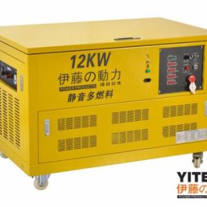 YT12RGF-ATS靜音汽油發電機