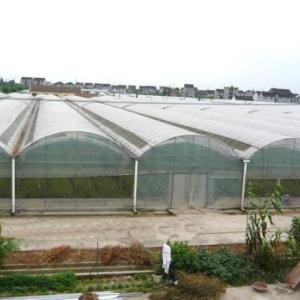連棟溫室大棚