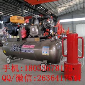 特惠促銷植樁機抗洪植樁機應急救援防汛抗洪