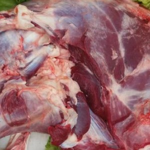 生鮮驢肉