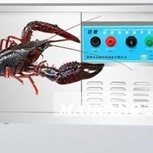 武漢小龍蝦清洗機(jī)