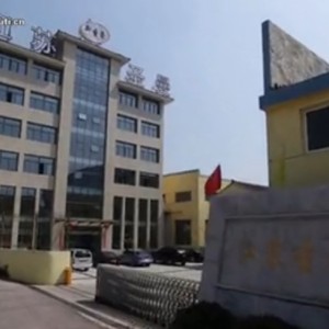 嘉定區大型企業宣傳片