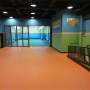 天津塑膠地板_籃球體育地膠
