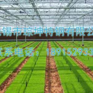 深圳連體溫室大棚