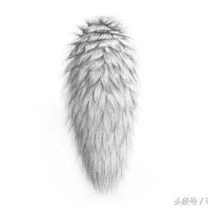 身邊的繪畫系列——皮草