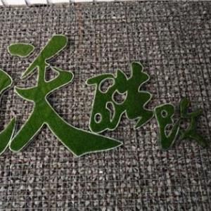 福建汽車改裝店|福建汽車改裝找誰|福建汽車改裝價(jià)格|沃酷供