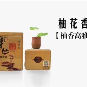武夷山正山小種|云南普洱茶|大紅袍陳茶|1號茶倉供