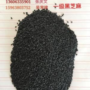 供應色選優質黑白芝麻；熟芝麻