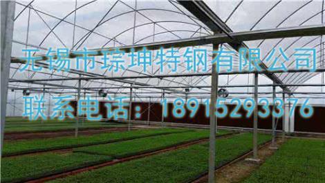 泰州連體溫室大棚