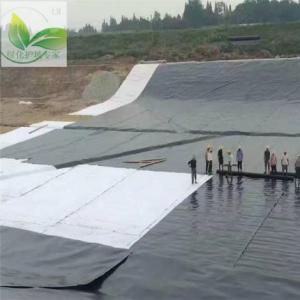 土工膜 復合膜 防滲膜 養殖膜 藕塘膜