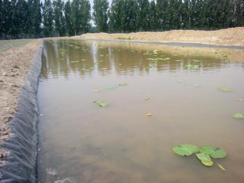 河道治理防渗土工膜