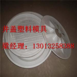 雨水井蓋模具 井蓋模具廠家