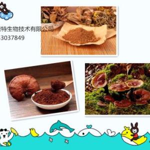 靈芝提取物 靈芝多糖20%-50% 靈芝