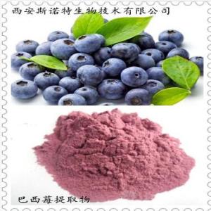 斯諾特廠家巴西莓提取物薩伊果提取物