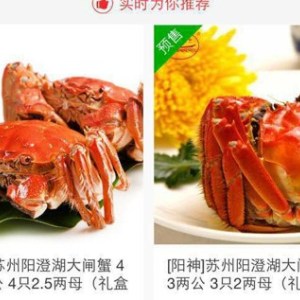 正宗陽澄湖大閘蟹 大閘蟹鮮活 大閘蟹預(yù)售農(nóng)牧人供
