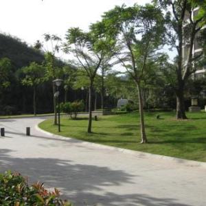 大港園林綠化公司