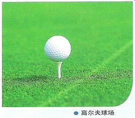 華龍盛騰草坪地毯