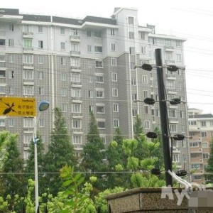 入侵報(bào)警電子圍欄