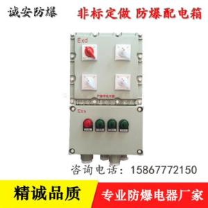 明裝防爆配電箱 開關箱按技術圖紙生產(chǎn)